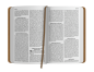 Preview: Bibel ERV Easy to Read Version, Hindi