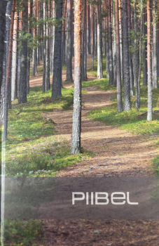 Bibel, Estnisch