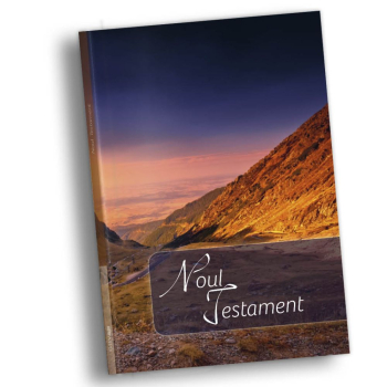 Neues Testament mehrfarbig, Rumänisch