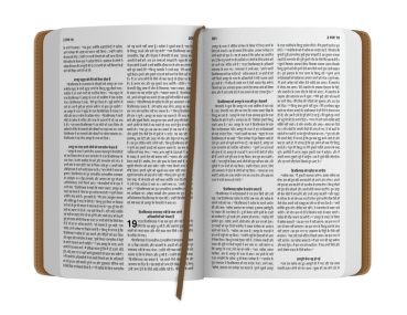 Preview: Bibel ERV Easy to Read Version, Hindi