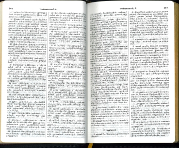 Bible, Tamoul petit