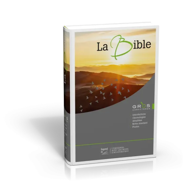 „NEG“ - Bibel in Grossdruck, Französisch