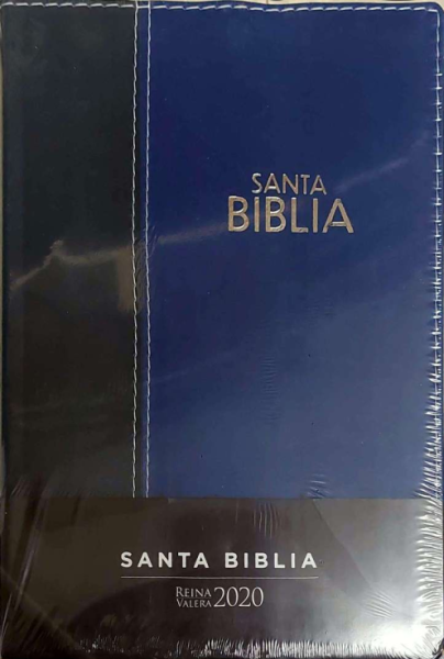 Bibel Reina Valera 2020 Grossdruck, Spanisch