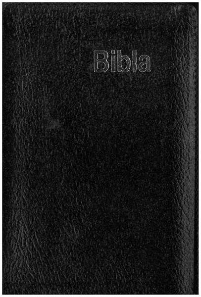 Bibel, Kleine Taschenbibel, Albanisch