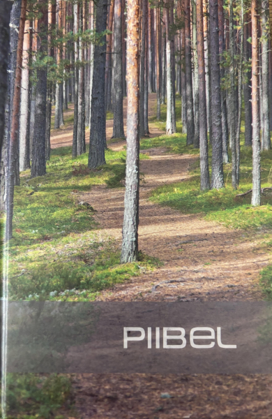 Bibel, Estnisch