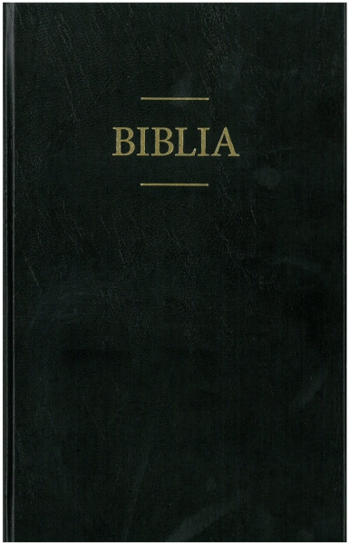 Bible, Romanian Large Print