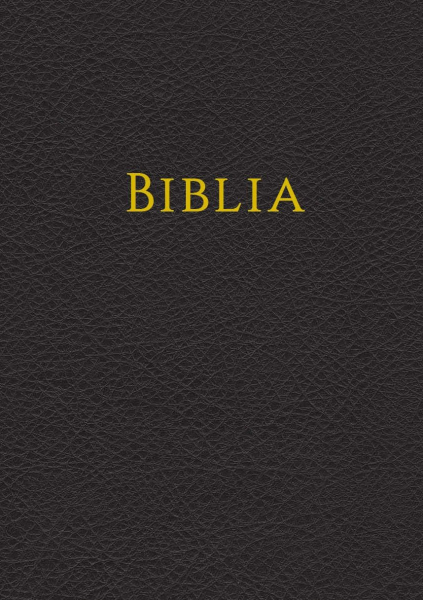 Bibel Rumänisch