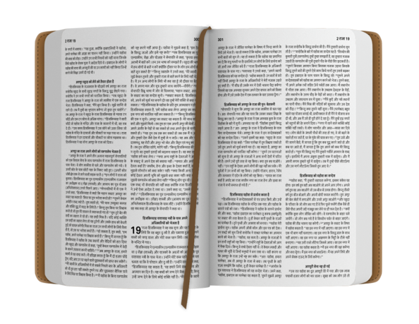 Bibel ERV Easy to Read Version, Hindi