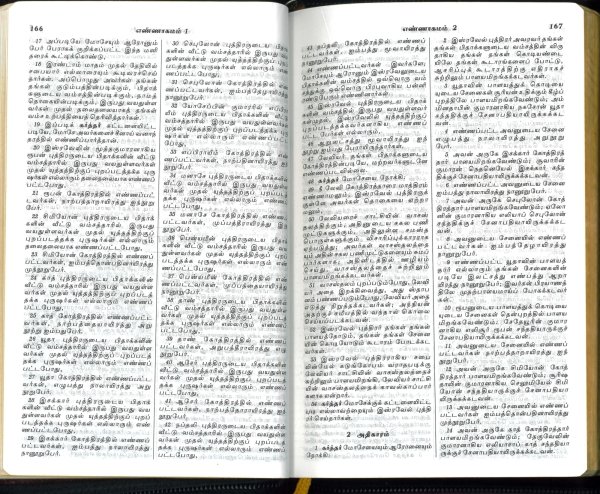 Bible, Tamoul petit
